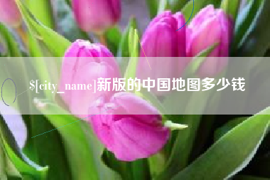 扶余新版的中国地图多少钱