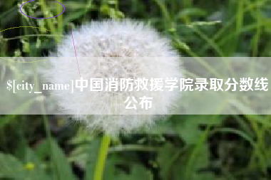 扶余中国消防救援学院录取分数线公布