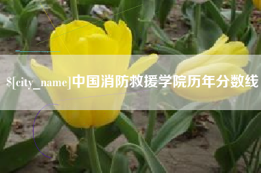 扶余中国消防救援学院历年分数线