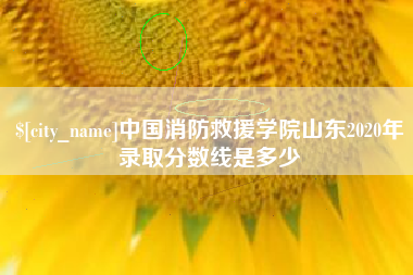 扶余中国消防救援学院山东2020年录取分数线是多少
