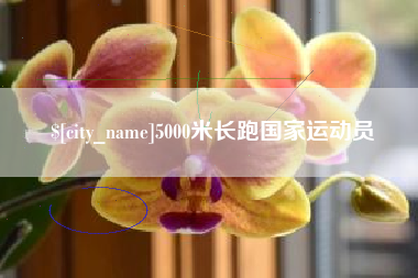 扶余5000米长跑国家运动员