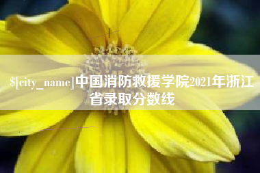 扶余中国消防救援学院2021年浙江省录取分数线