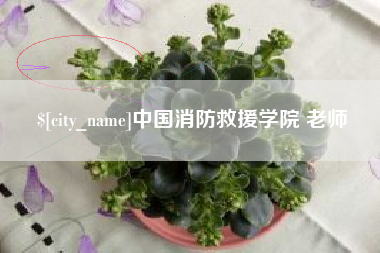 扶余中国消防救援学院 老师
