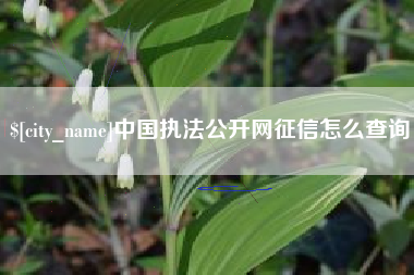 扶余中国执法公开网征信怎么查询