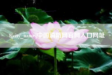 扶余中国消防网官网入口网址