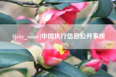 扶余中国执行信息公开系统