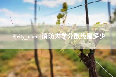 扶余消防大学分数线是多少