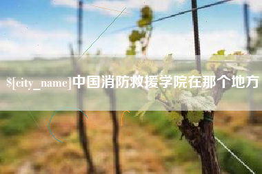 扶余中国消防救援学院在那个地方