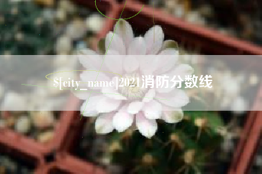 扶余2021消防分数线