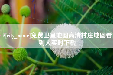 扶余免费卫星地图高清村庄地图看到人实时下载