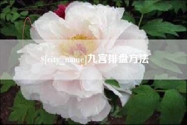 扶余九宫排盘方法