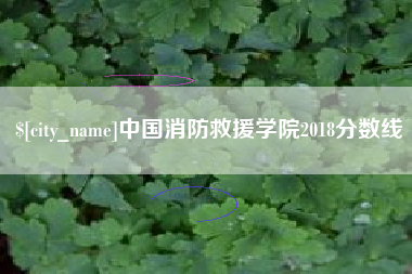 扶余中国消防救援学院2018分数线