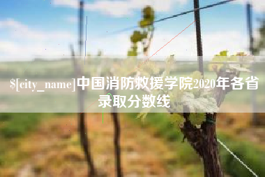 扶余中国消防救援学院2020年各省录取分数线
