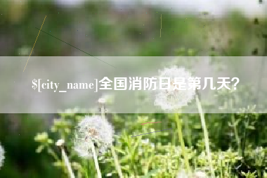 扶余全国消防日是第几天？