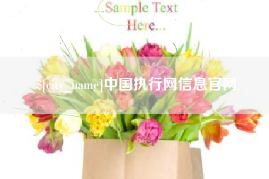 扶余中国执行网信息官网