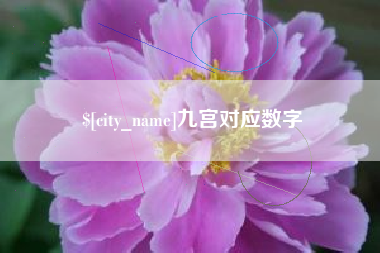 扶余九宫对应数字