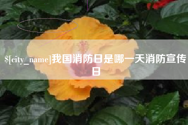 扶余我国消防日是哪一天消防宣传日