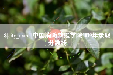 扶余中国消防救援学院2019年录取分数线