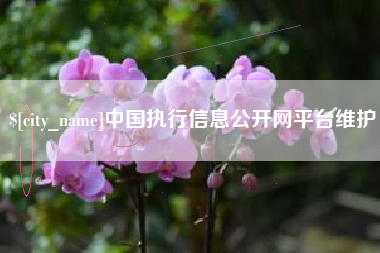 扶余中国执行信息公开网平台维护