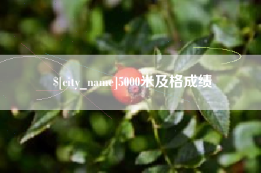 扶余5000米及格成绩