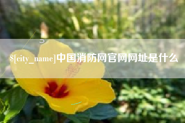 扶余中国消防网官网网址是什么
