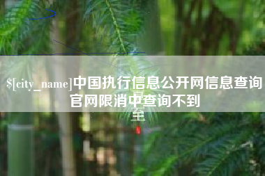 扶余中国执行信息公开网信息查询官网限消中查询不到