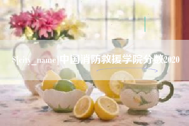 扶余中国消防救援学院分数2020