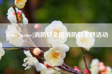 扶余消防日全国消防日主题活动