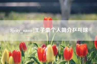 扶余王子豪个人简介乒乓球