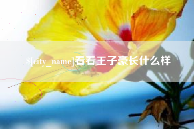 扶余看看王子豪长什么样