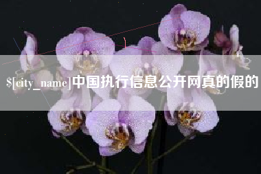 扶余中国执行信息公开网真的假的