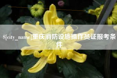 扶余重庆消防设施操作员证报考条件