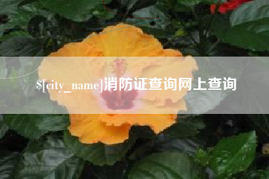 扶余消防证查询网上查询