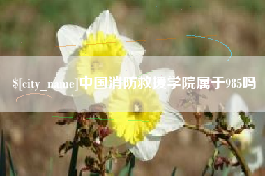 扶余中国消防救援学院属于985吗