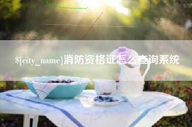扶余消防资格证怎么查询系统