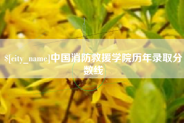 扶余中国消防救援学院历年录取分数线