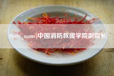 扶余中国消防救援学院副院长