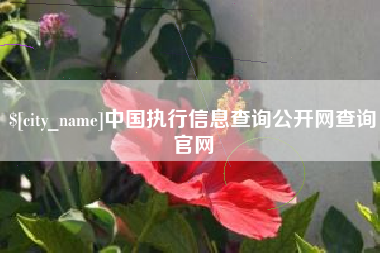 扶余中国执行信息查询公开网查询官网