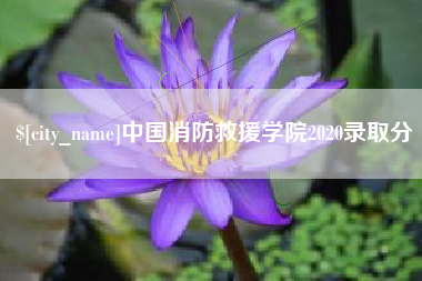 扶余中国消防救援学院2020录取分