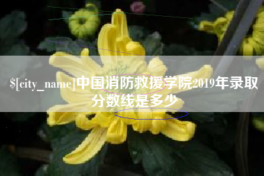 扶余中国消防救援学院2019年录取分数线是多少