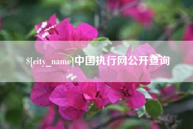 扶余中国执行网公开查询