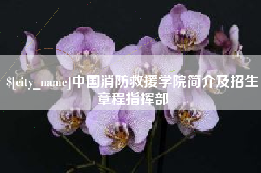 扶余中国消防救援学院简介及招生章程指挥部
