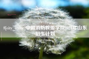 扶余中国消防救援学院2021年山东招生计划
