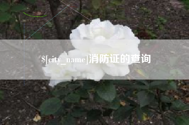 扶余消防证的查询