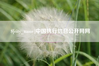 扶余中国执行信息公开网网