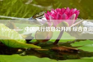 扶余中国执行信息公开网 综合查询