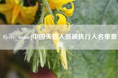 扶余中国失信人员被执行人名单查询