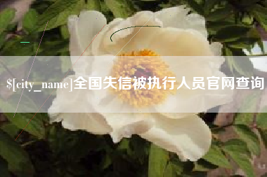扶余全国失信被执行人员官网查询