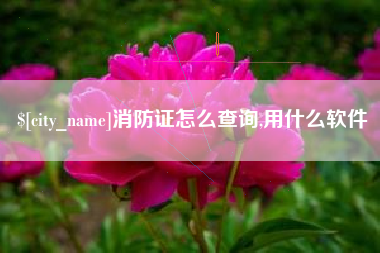 扶余消防证怎么查询,用什么软件