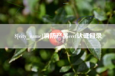 扶余消防产品cccf认证目录